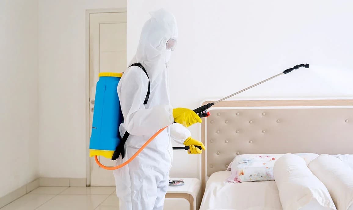 Bed Bug Treatment